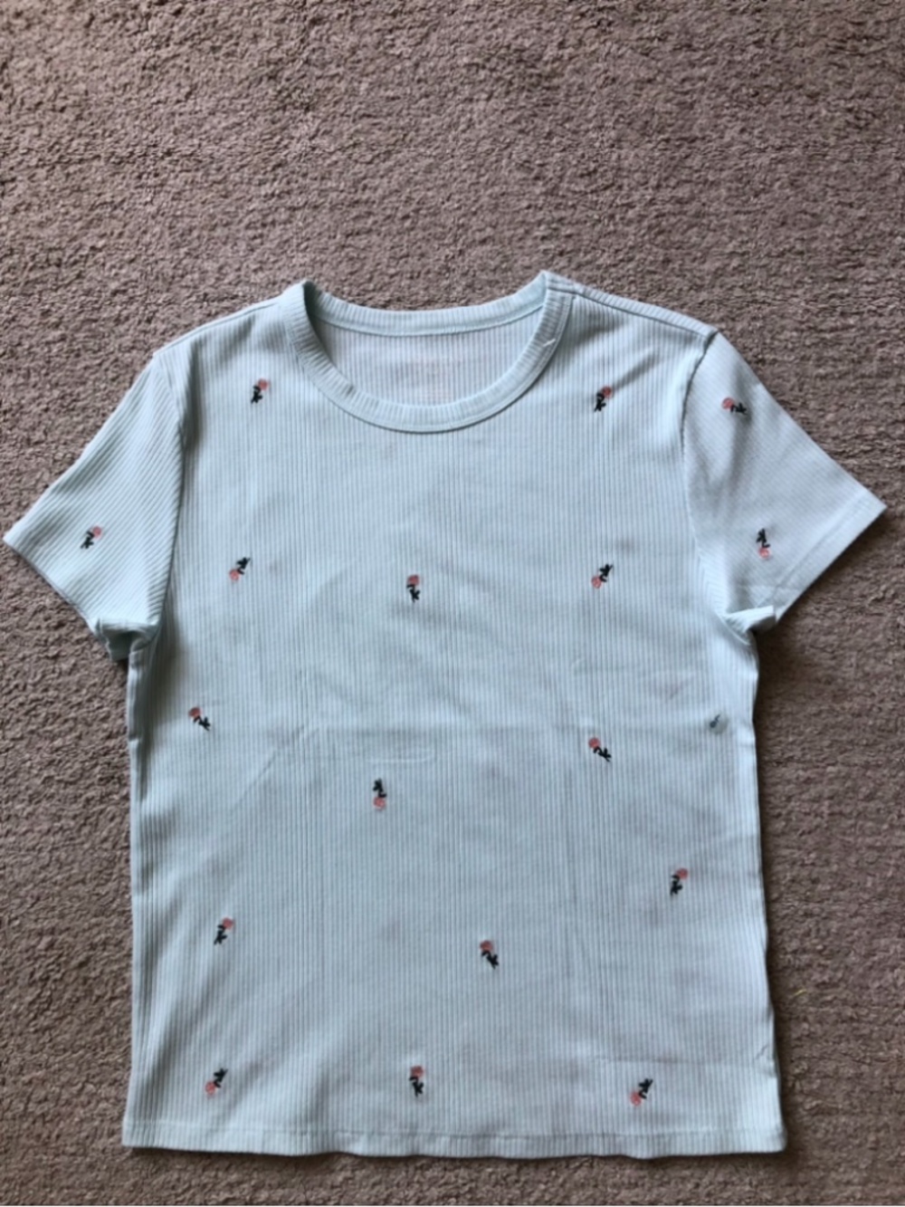 AE Outfitters Short Sleeve T-shirt.NWOT.